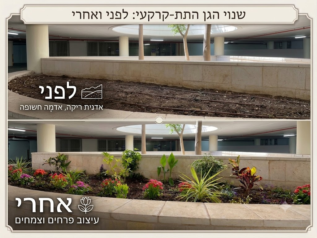 גן תת-קרקעי לפני ואחרי