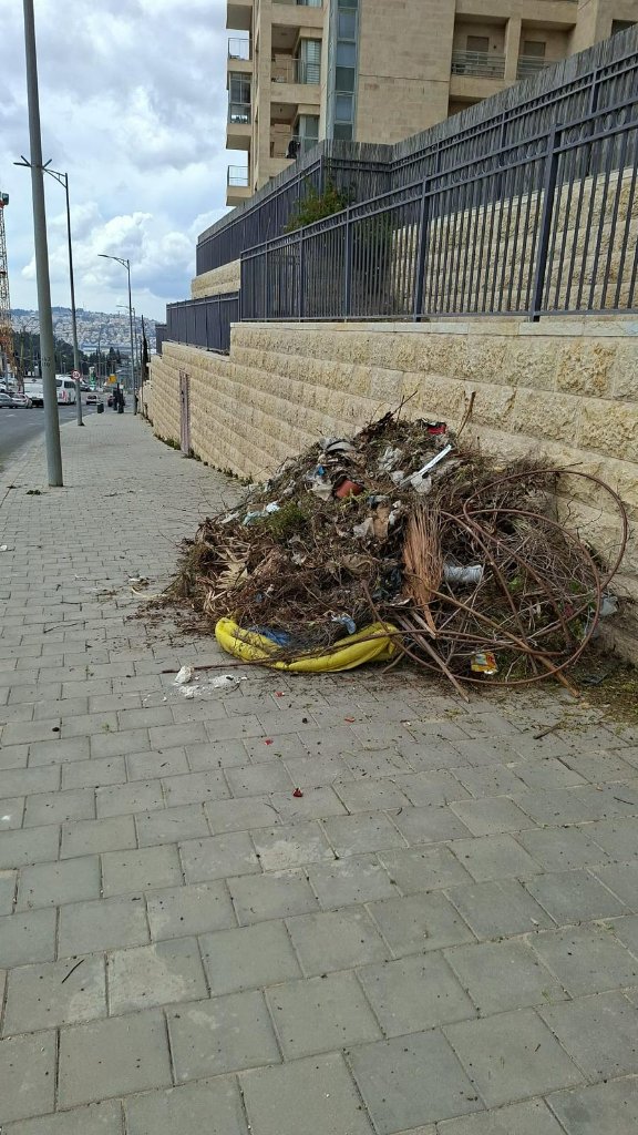 פסולת גינון על המדרכה