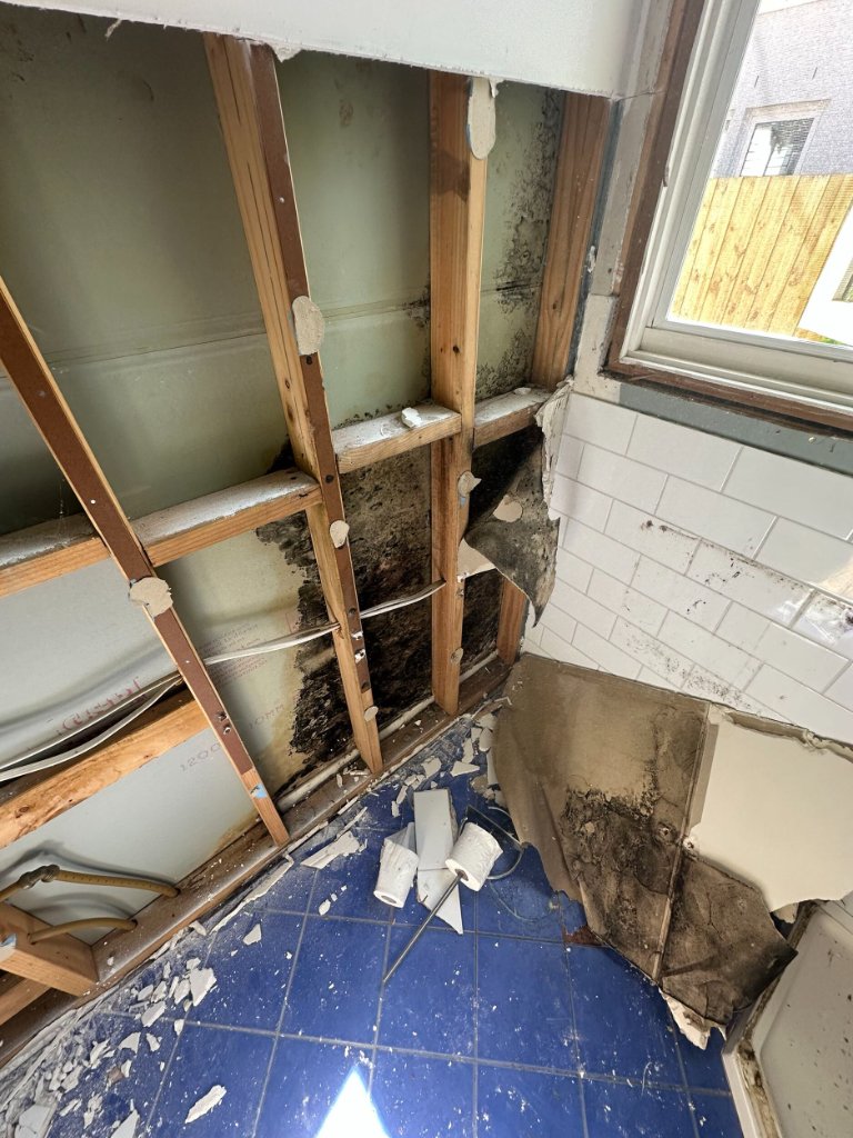 Extensive mould and water damage inside wall cavity due to waterproofing failure — Brownlow Building rectification, Melbourne