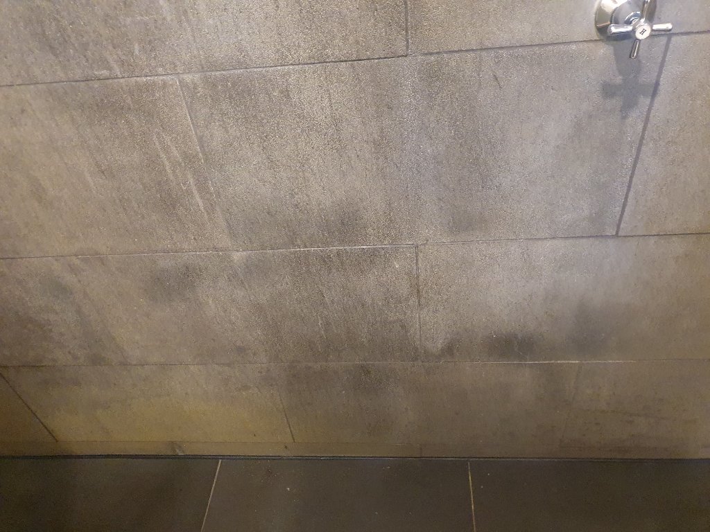 Water damage and mould on shower walls