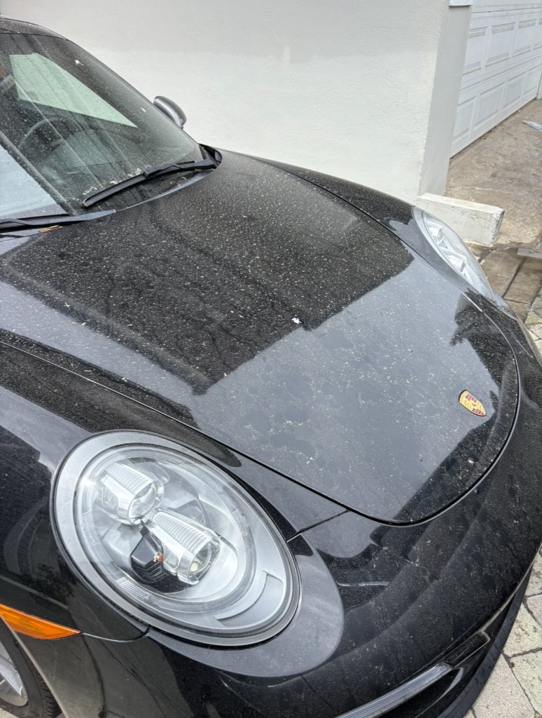 Dusty black Porsche hood with contamination before a mobile hand wash at a client's home in Orange County