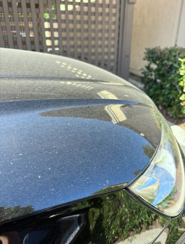 Deep gloss finish following clay bar decontamination and machine polishing