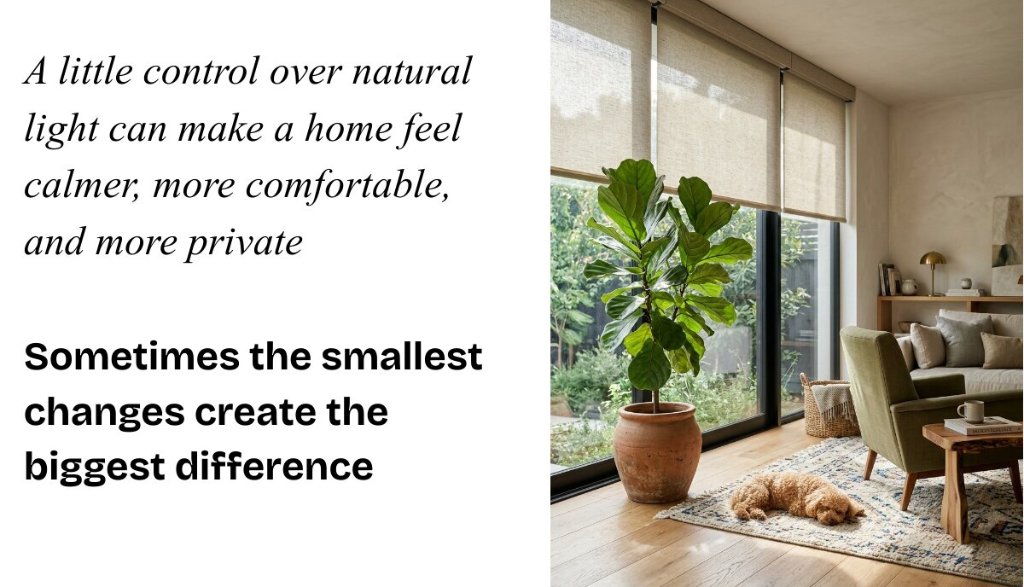 Smart roller shades in a calm Charlotte living room with natural light