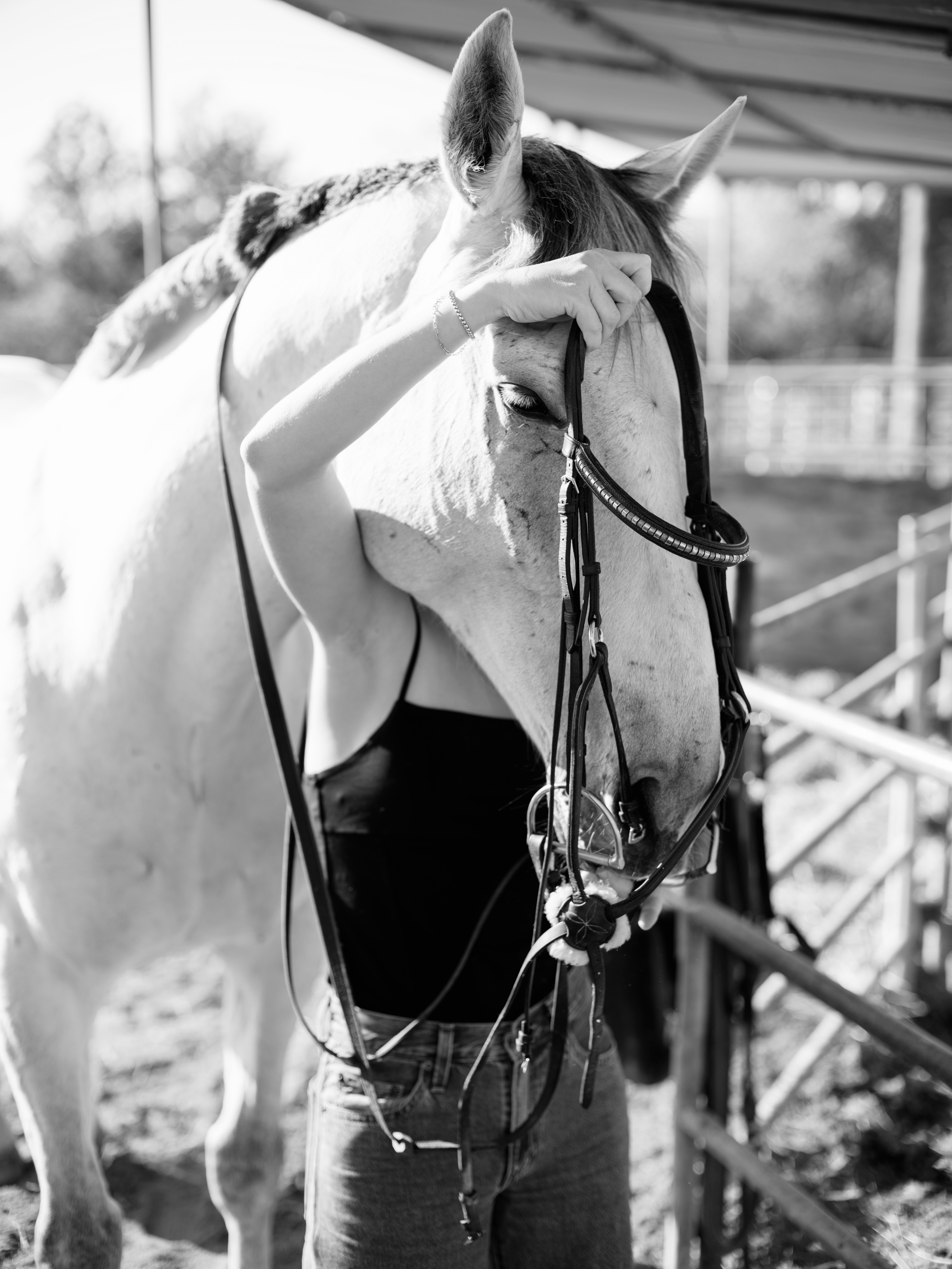 Founder with horse