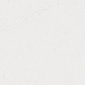 Valor White