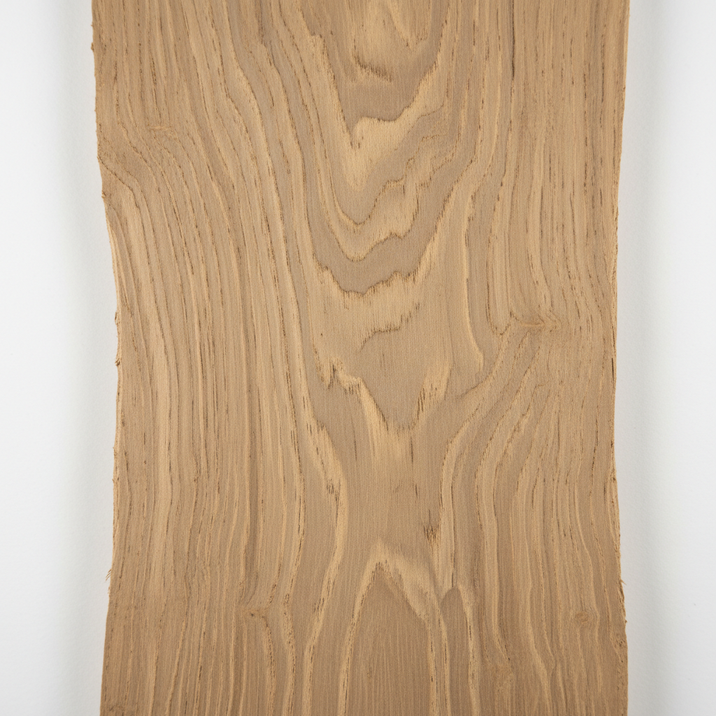 White Oak wood grain texture