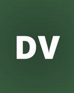 Digital Village logo