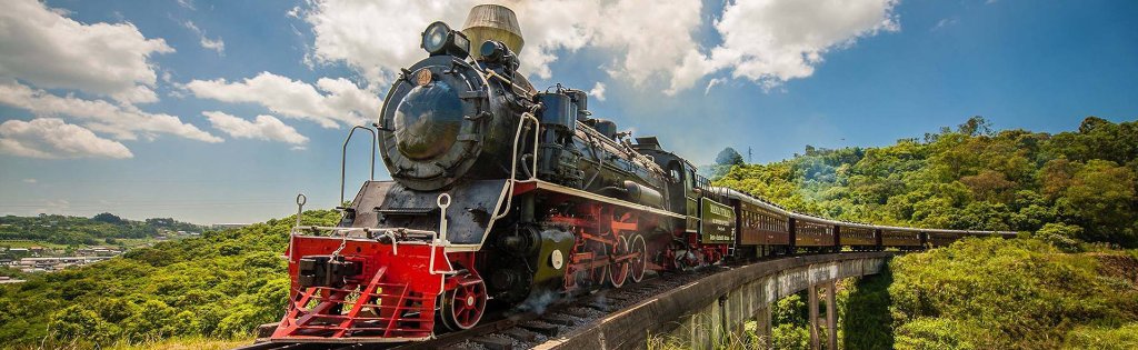Tour Uva e Vinho com Trem Maria Fumaça