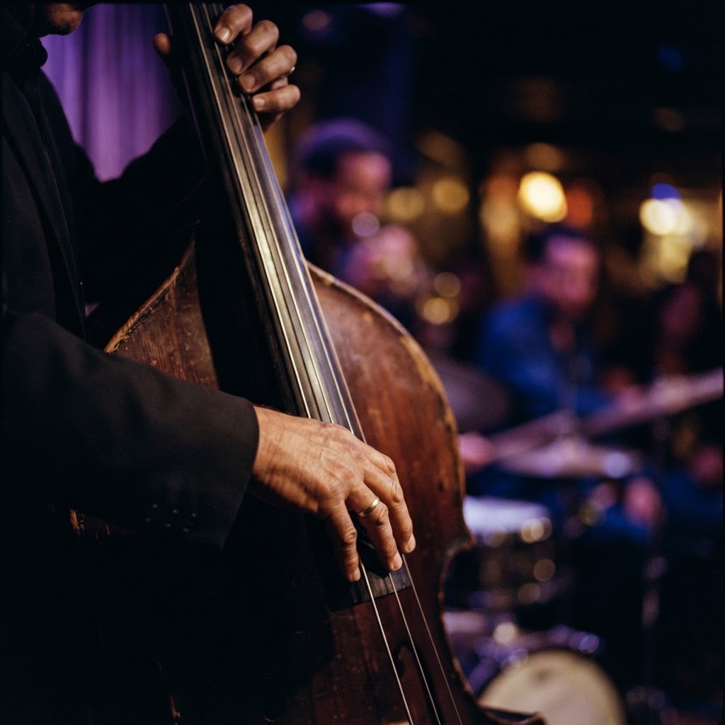 Upright bassist in focus during an intimate chamber rehearsal