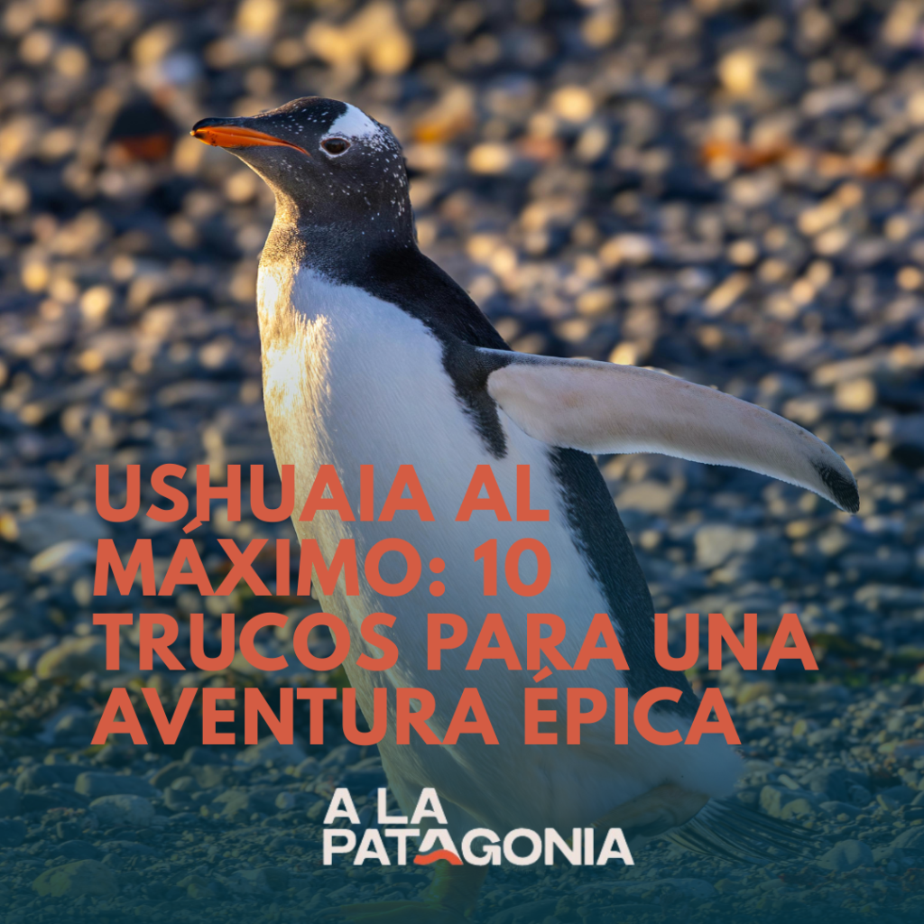 Ushuaia al Máximo: 10 Trucos para una Aventura Épica