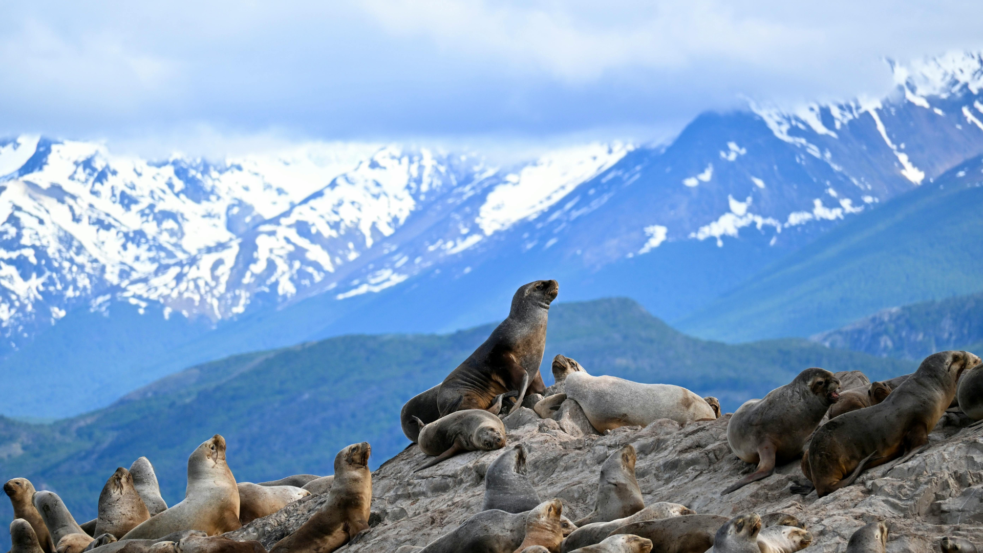 Patagonia en Familia