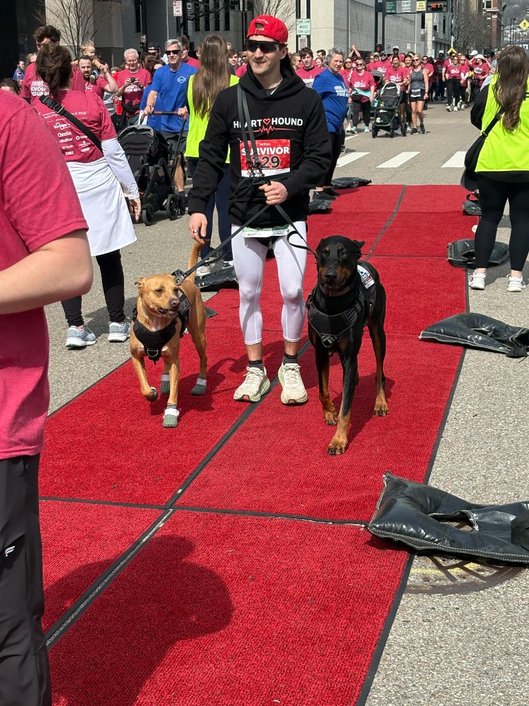 Kyle and the dogs walking onto the red carpet