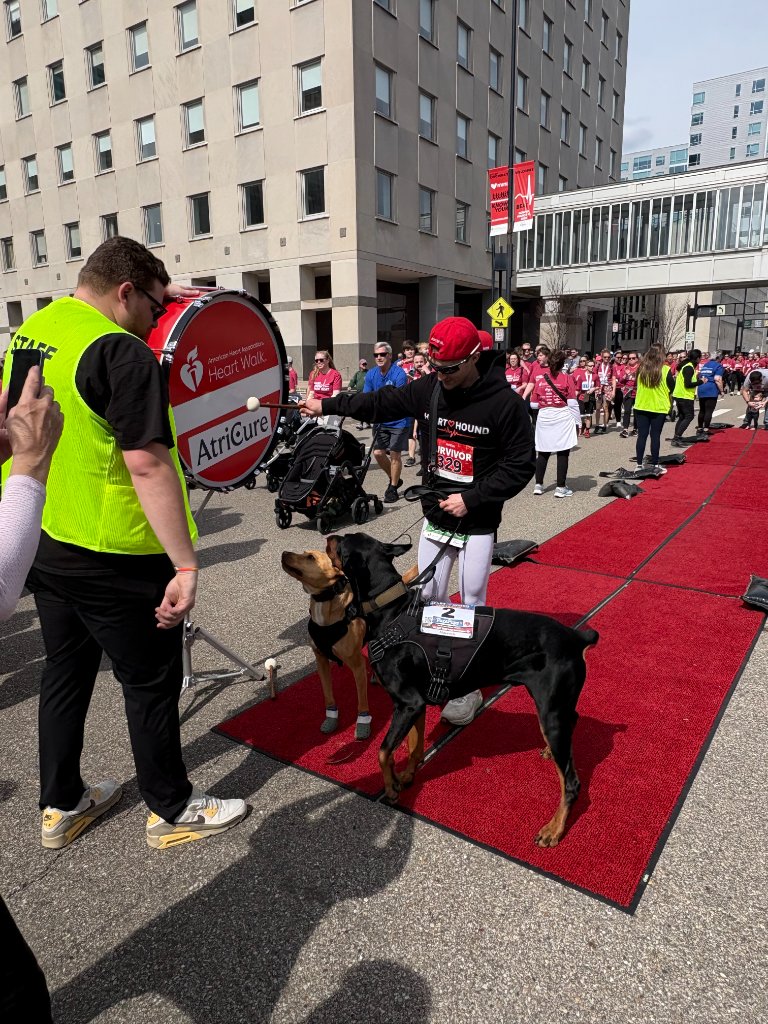 Kyle, Moose & Maverick on the survivor red carpet