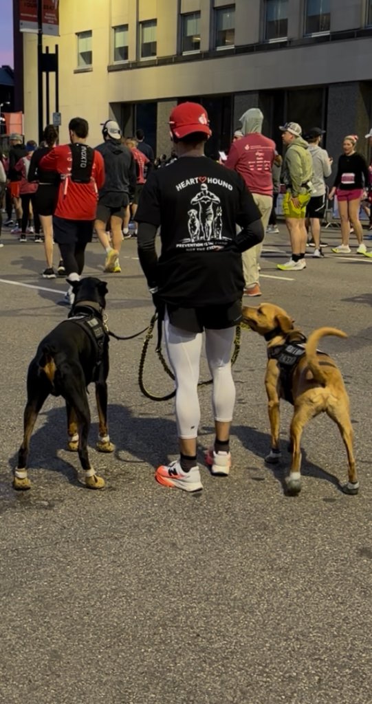 Pre-race darkness — Heart & Hound at the starting line