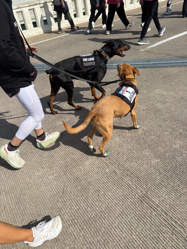 The boys running strong mid-race