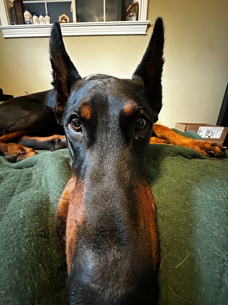 Kyle and Moose — early morning vibes