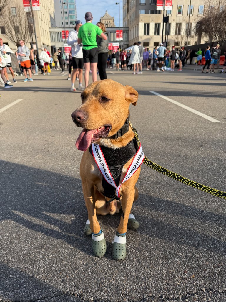 Moose rocking his finisher medal and crocs