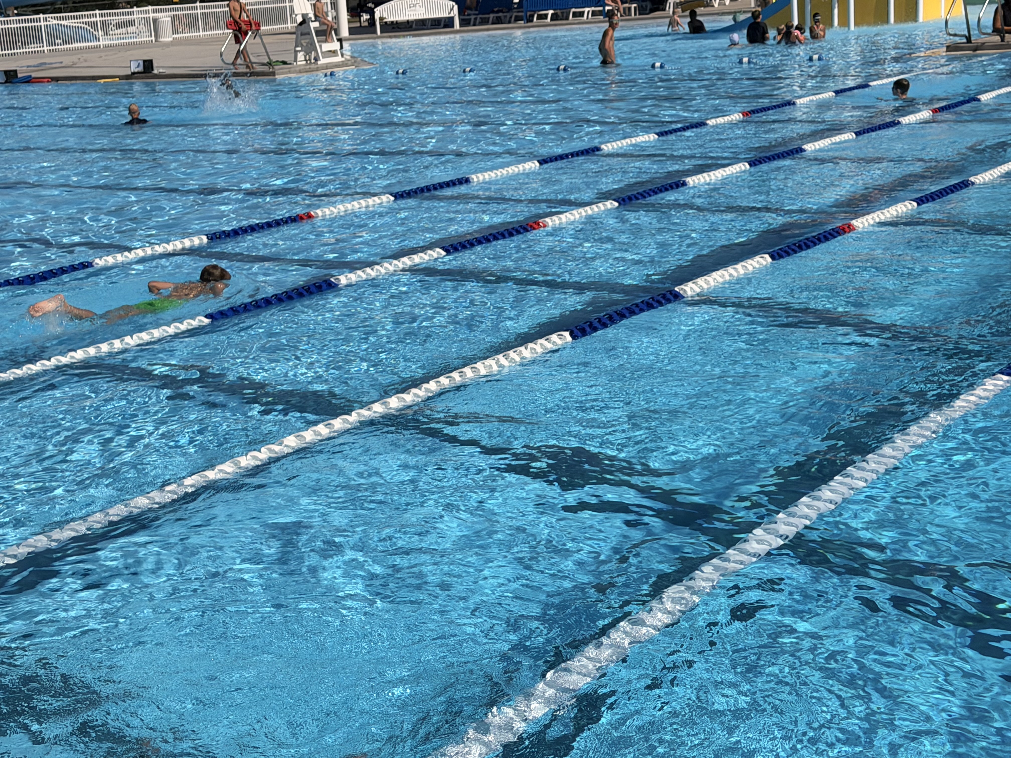 Swimmer practicing in a lap pool lane