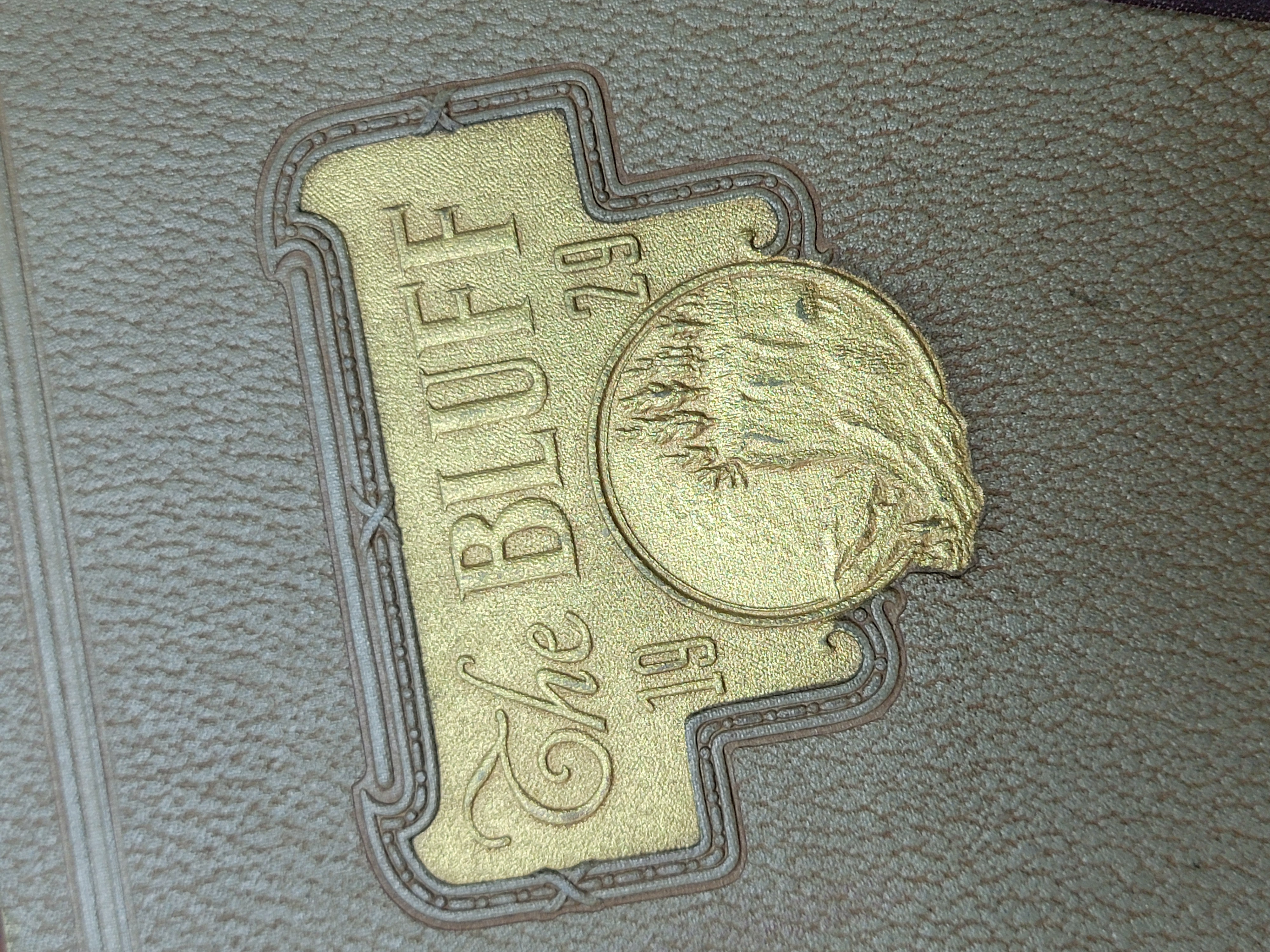 Close-up of textured leather yearbook cover embossed in gold with 'The BLUFF 1929' and a scenic medallion