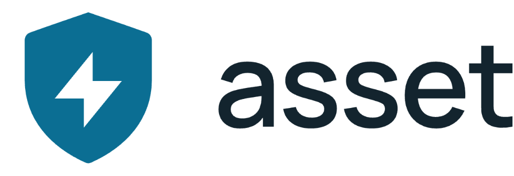 Asset