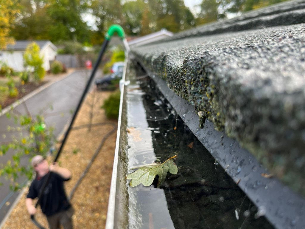 Gutter cleaning 1