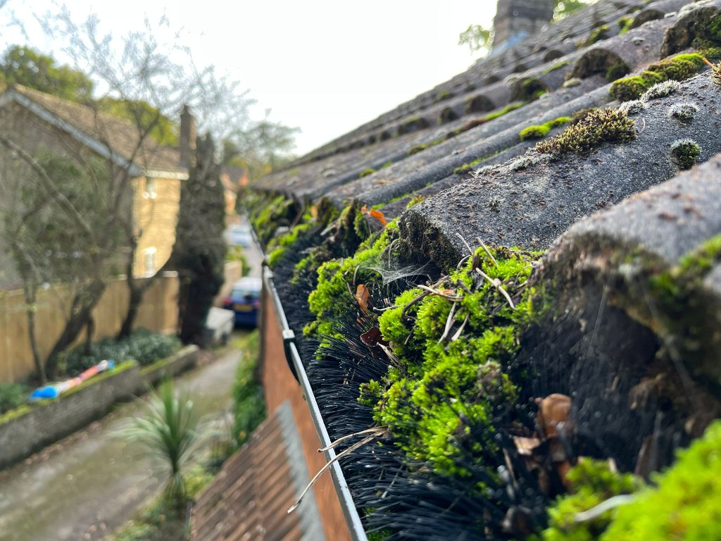 Clean gutters after service