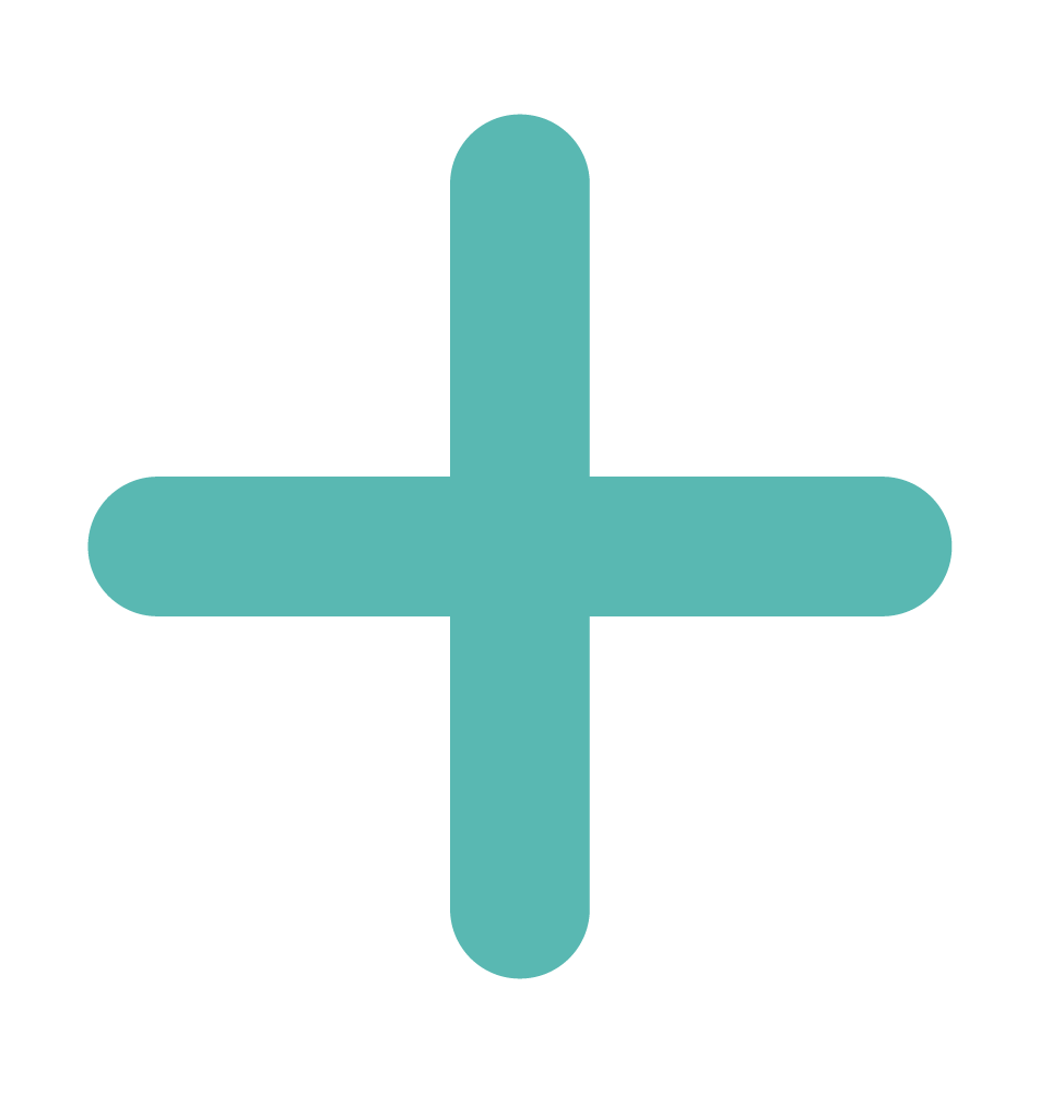 Fund icon