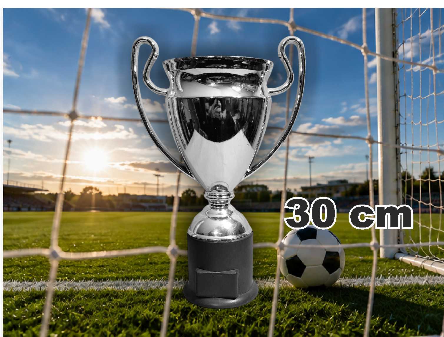 K1116 CHAMPIONS PLATEADA BRILLANTE 30 cm