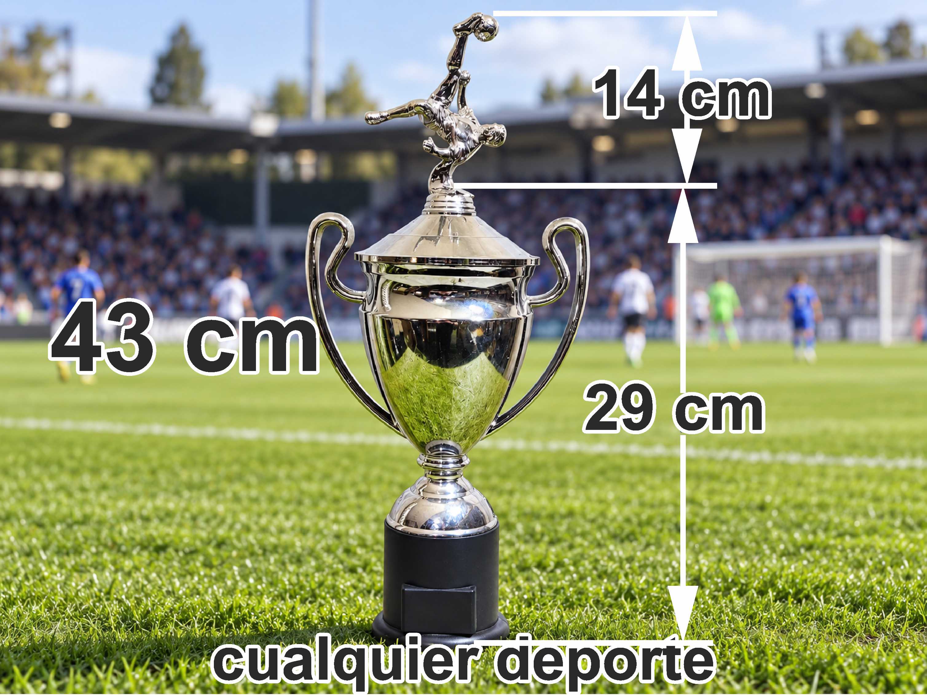 K11126 CHAMPIONS PLATEADA BRILLANTE CON TAPA 43 cm (ALEGORIA NO INCLUIDA)