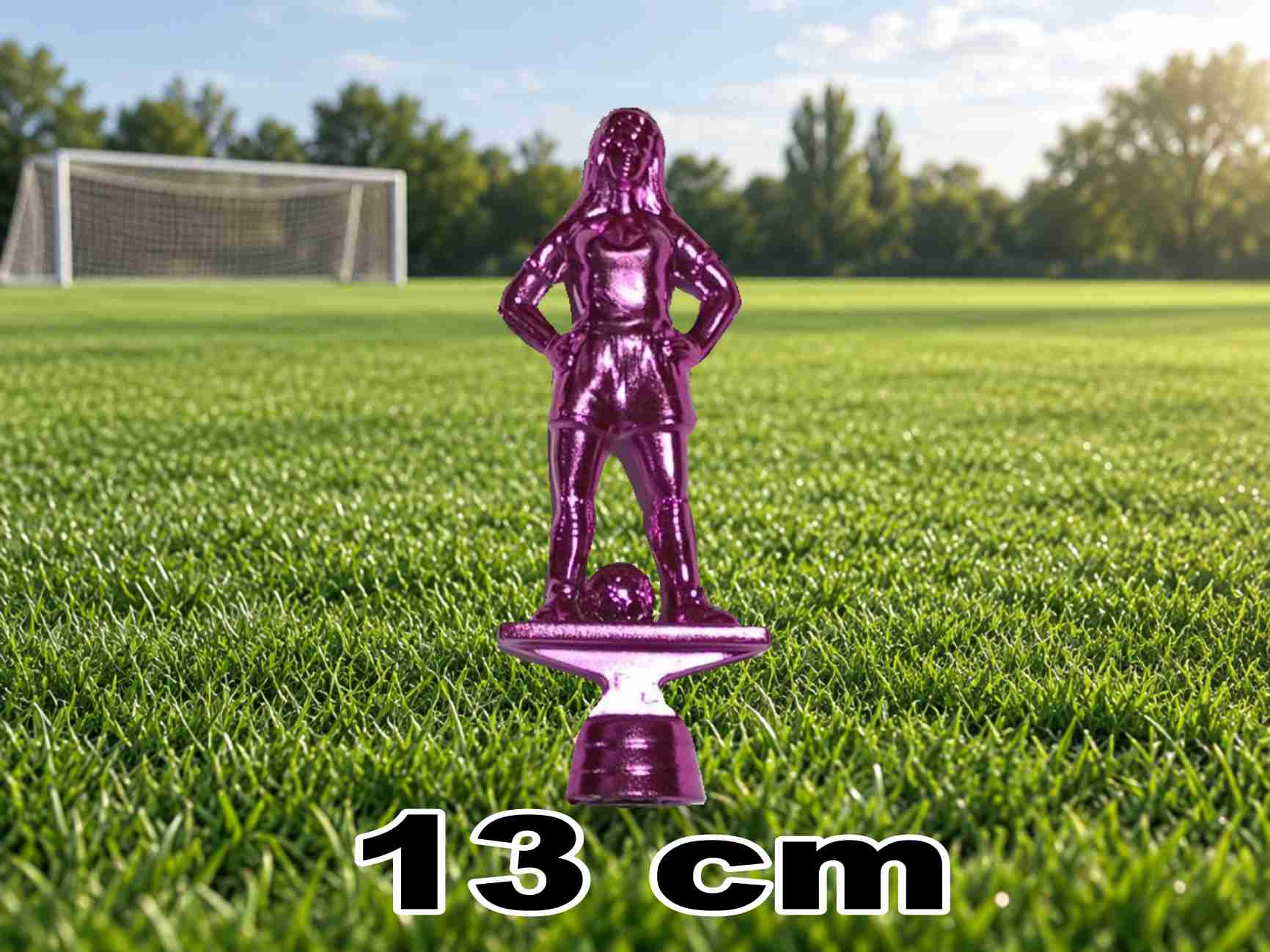 AAFSH13 ALEGORIA FUTBOL FEMENINO