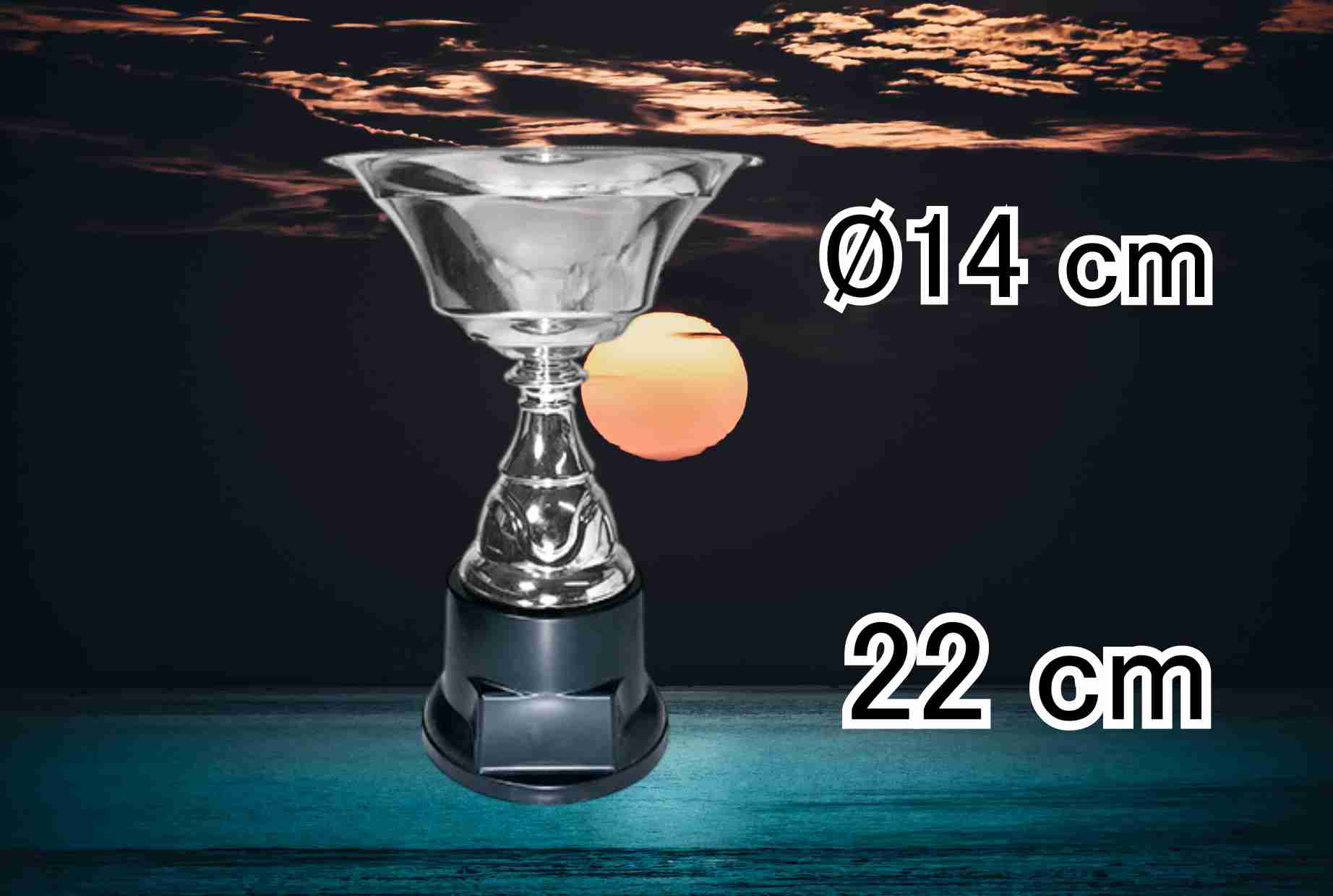 K3200 COPA **CHARIZAR**