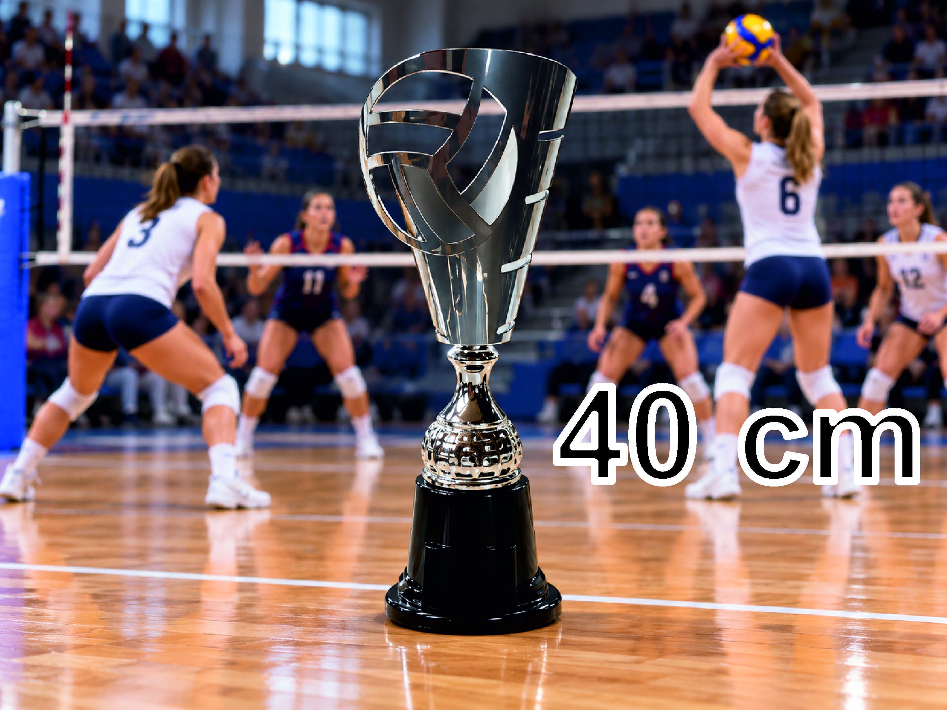 K4482 COPA LASER VOLEY 40 cm METALICA PLATEADA