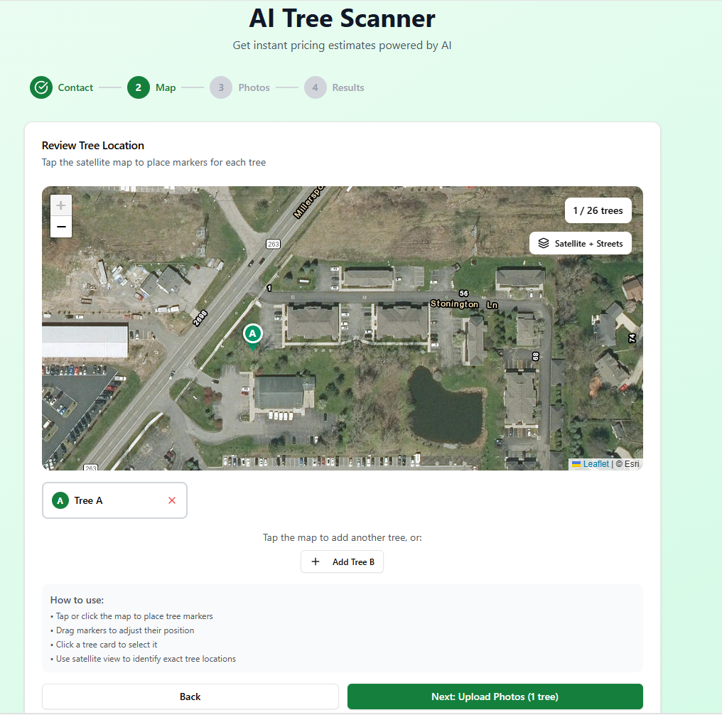 Step 2: Satellite Tree Mapping