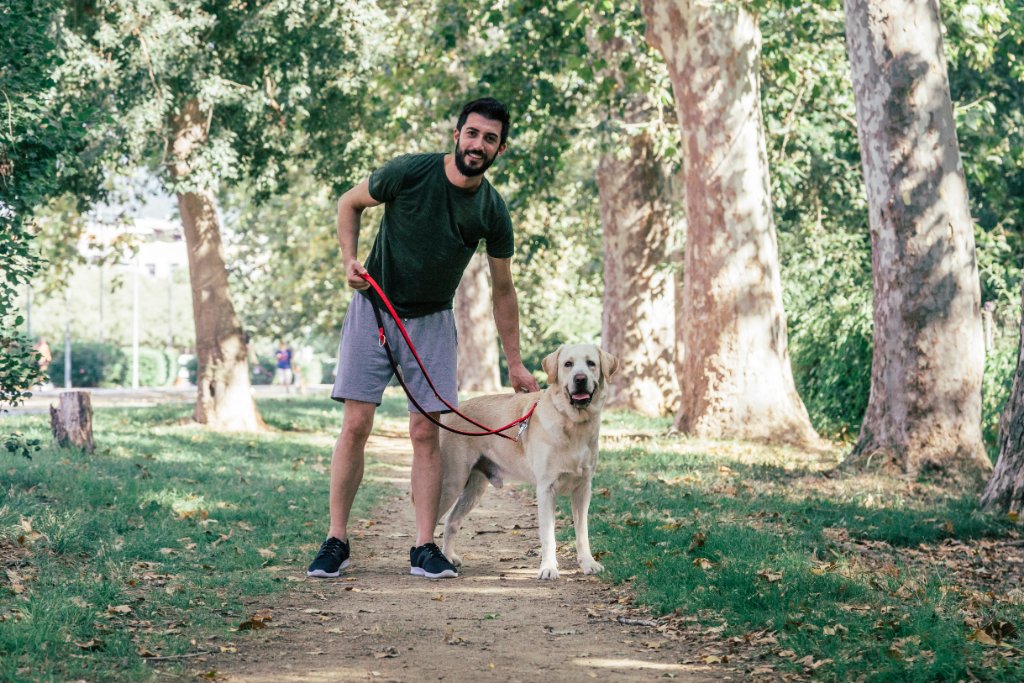 Pet Walker