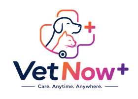 VetNow+ — Care. Anytime. Anywhere.