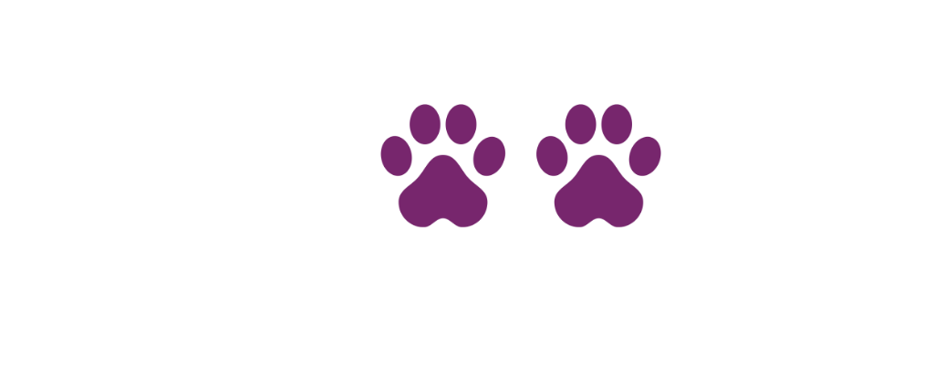 Swoofi — Where Pets Rule & Tails Wag