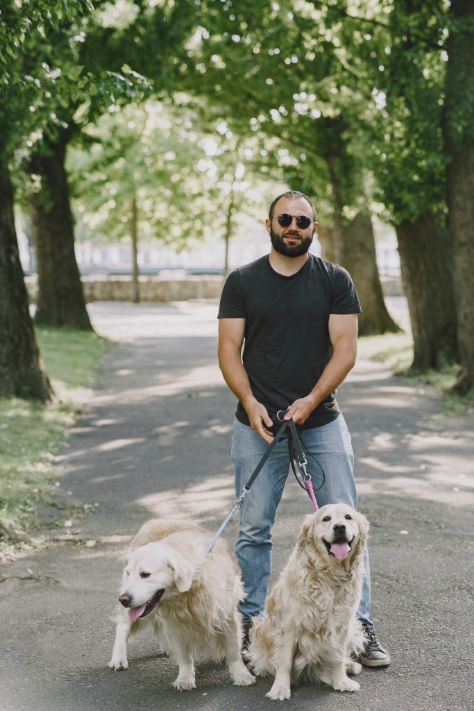 Walker with dogs