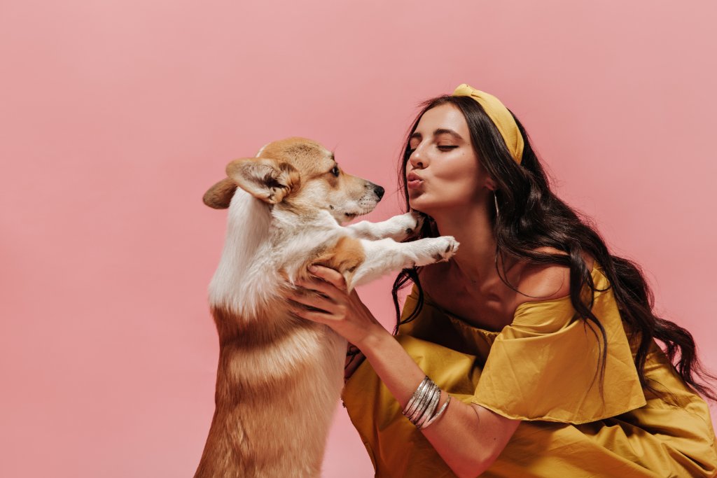 Pet community