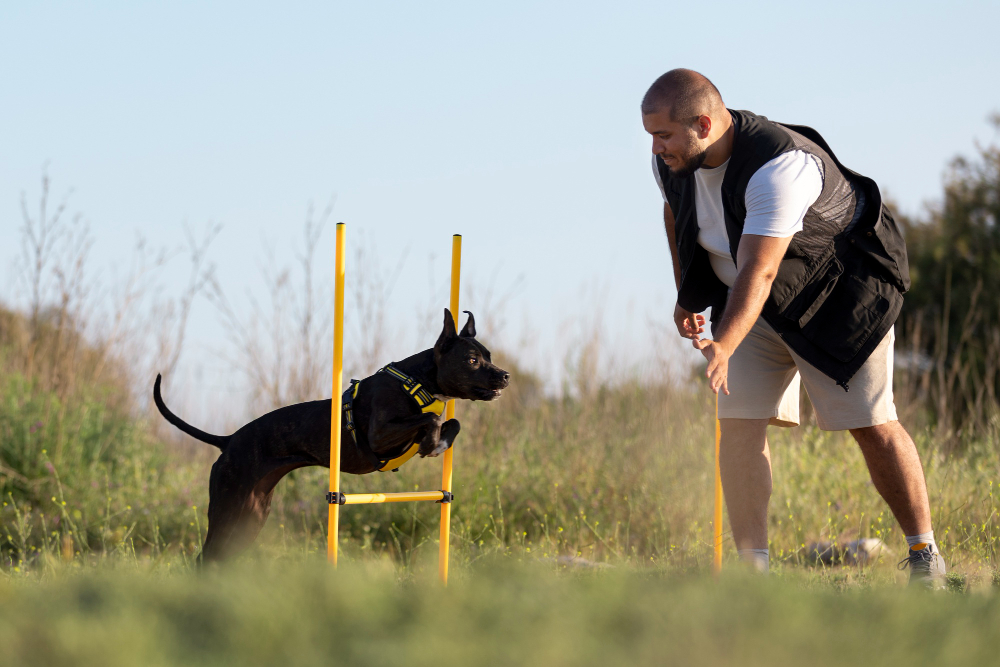 Training 1