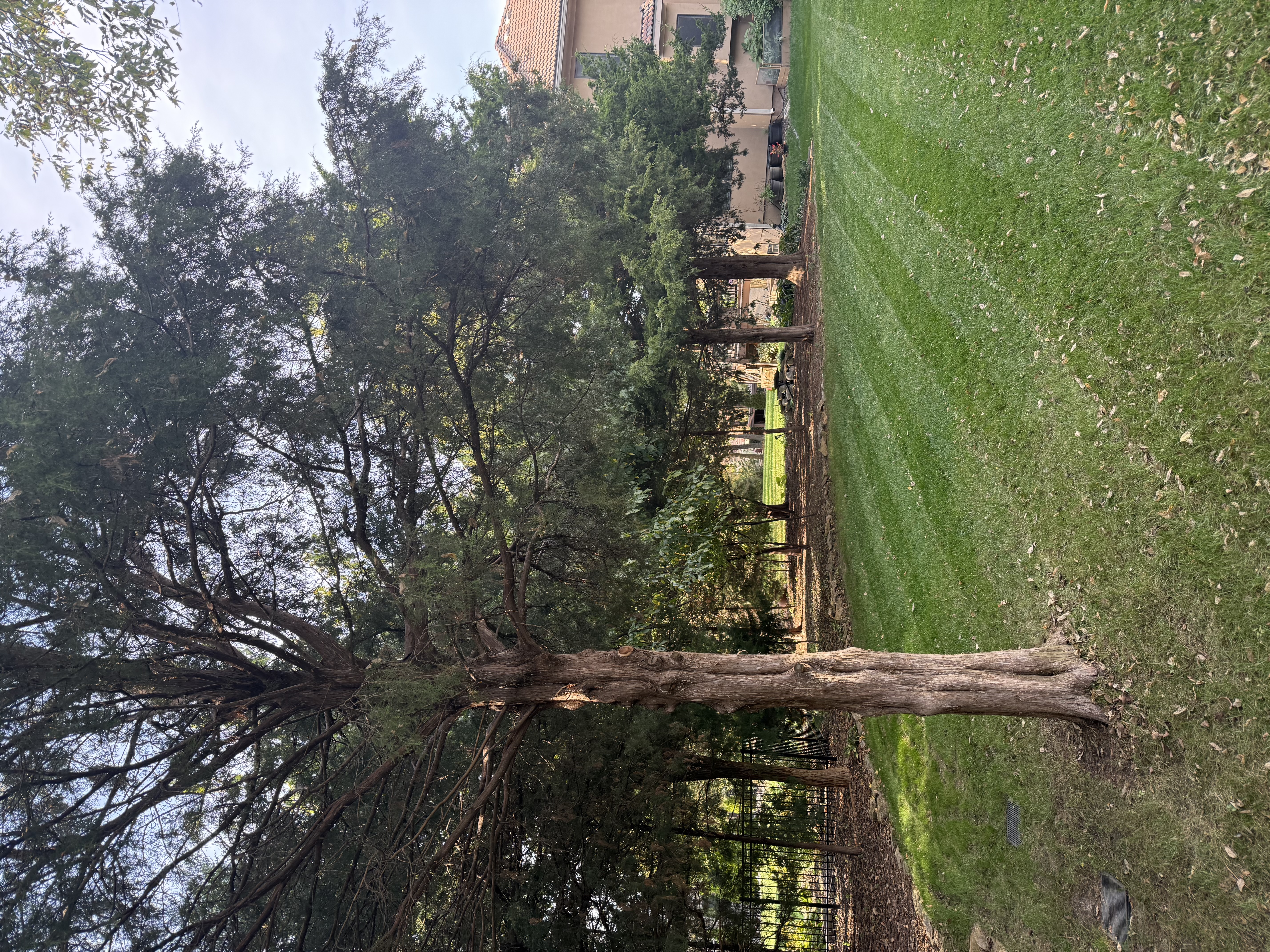 Mowed lawn with mulched garden beds and trimmed landscaping
