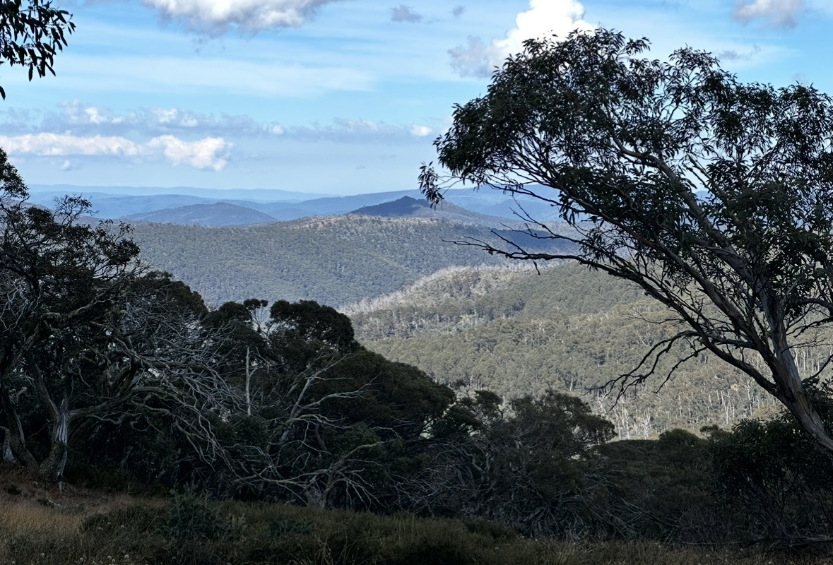 King Billy Track