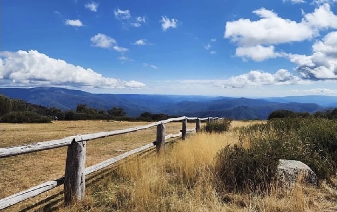Open country