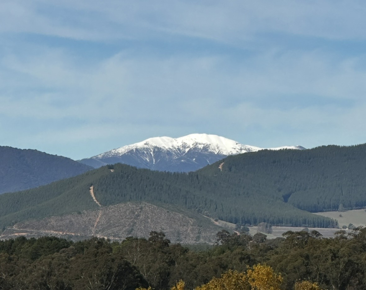 Myrtleford