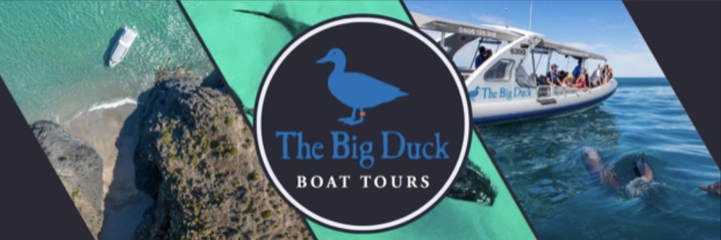 The Big Duck Boat Tours