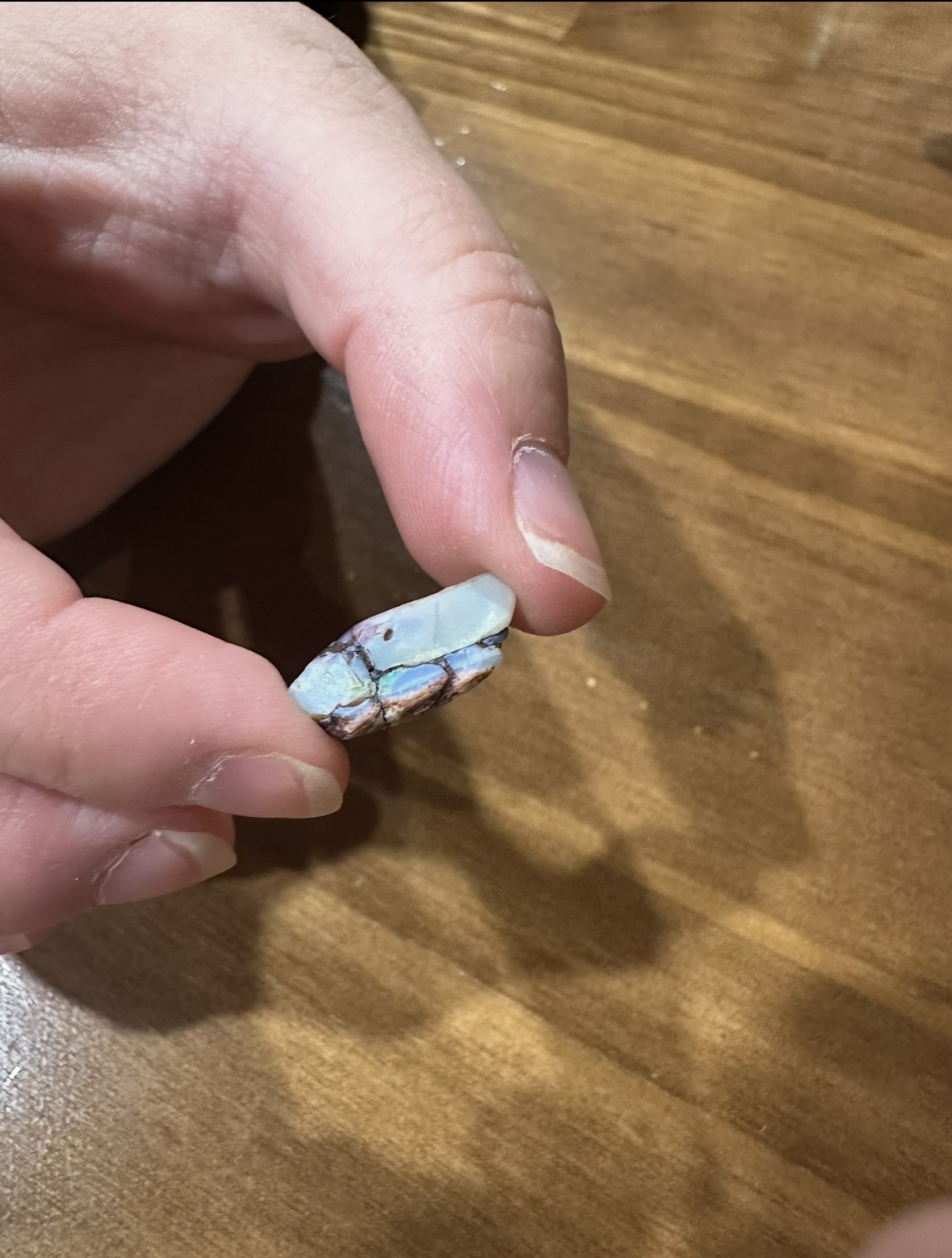 Our own little piece of opal, straight from the noodling pile