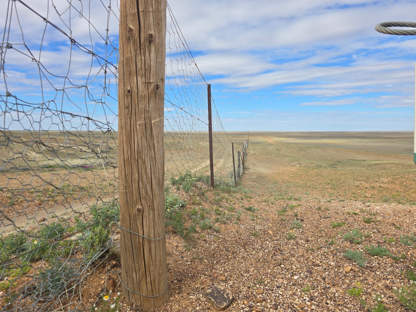 A section of the Dog Fence stretching out across the outback near Coober Pedy