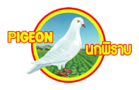 Pigeon Pigeon