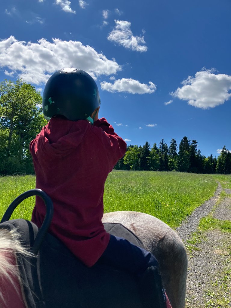 Natur & Ponyzeit