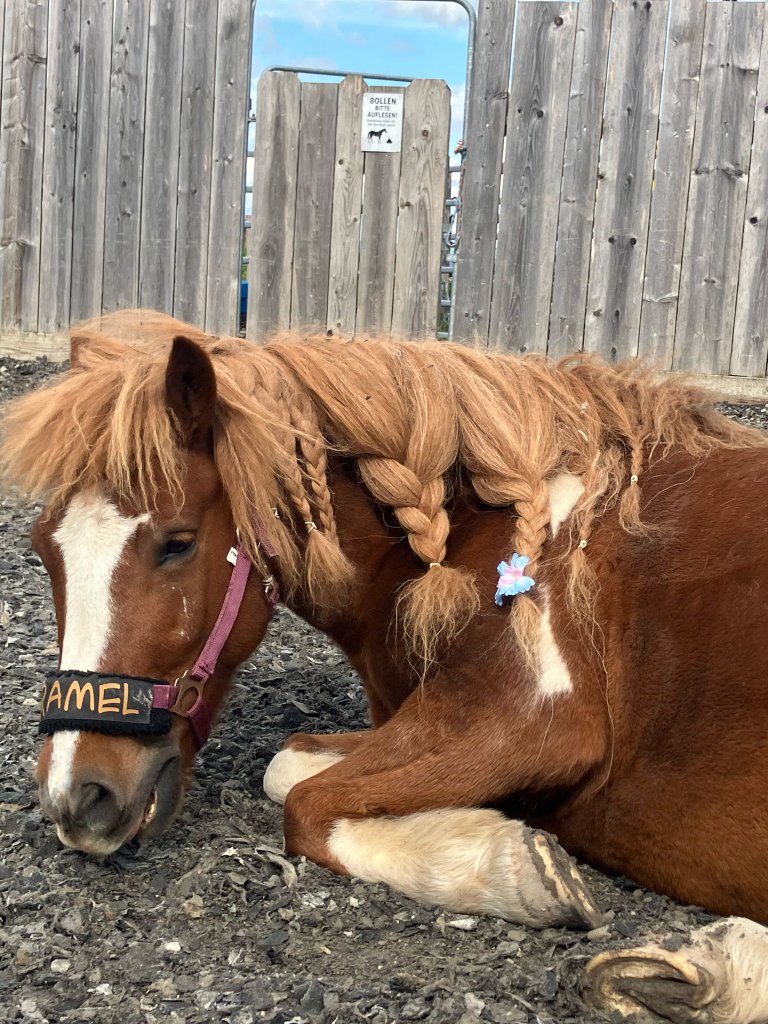 Pony Caramel