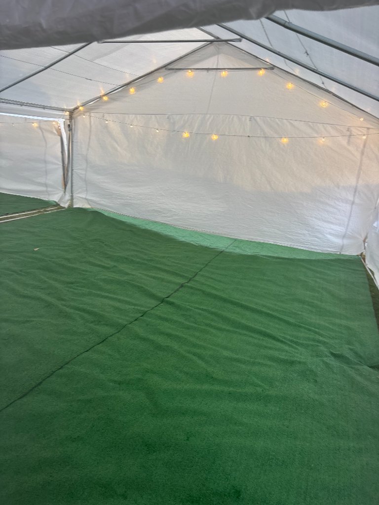 Tent with turf flooring & warm bistro lights 💡